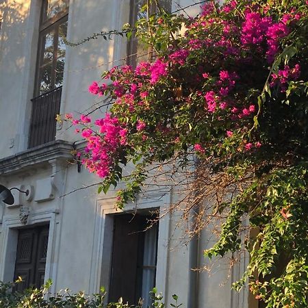 L' Ilot Des Iles Bed & Breakfast Cuxac-d'Aude Ngoại thất bức ảnh